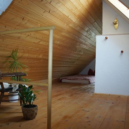 Schwalbennest Kaisitz Daire Dış mekan fotoğraf