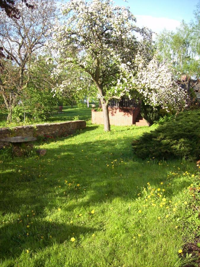 Schwalbennest Kaisitz Daire Dış mekan fotoğraf